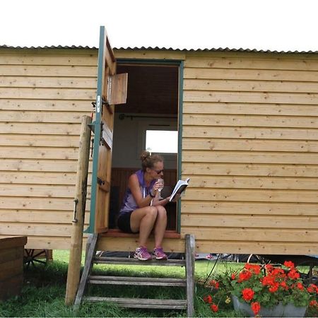Готель Shepherdshuts-Southeast Ашфорд Екстер'єр фото
