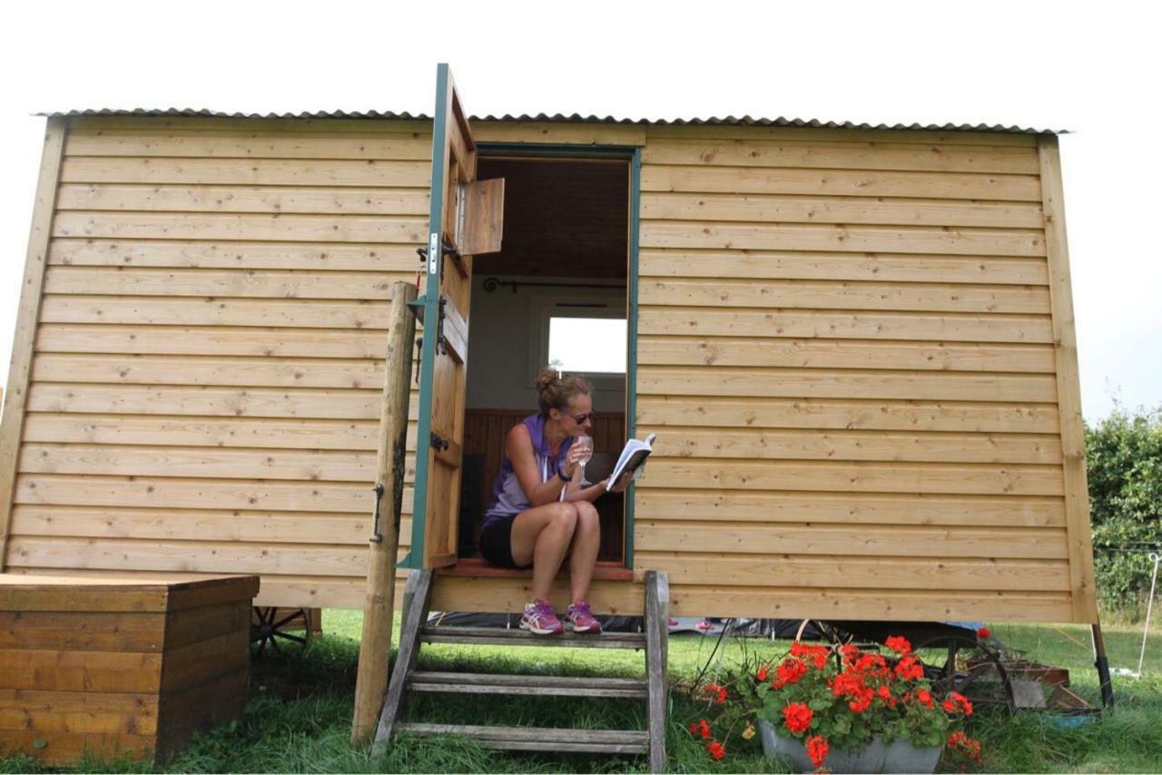 Готель Shepherdshuts-Southeast Ашфорд Екстер'єр фото