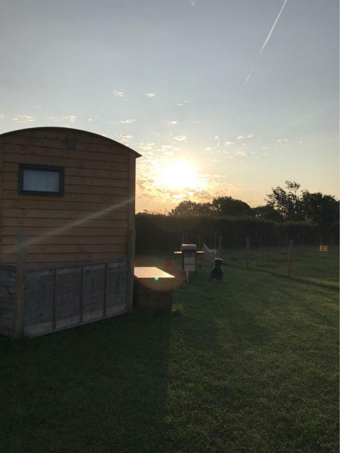 Готель Shepherdshuts-Southeast Ашфорд Екстер'єр фото